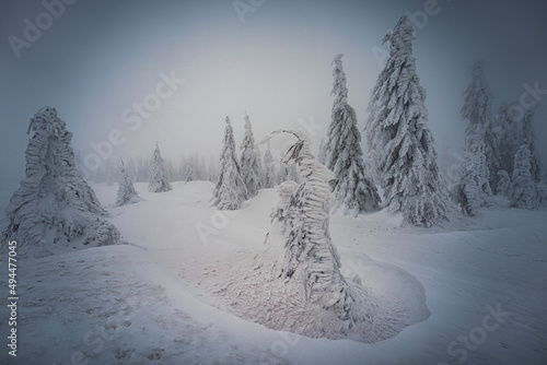 Photo of a colored winter morning on the border of Germany photo