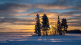 Dramatic sunset scene behind pine trees in the middle of a snow-covered field, Arjeplog, Sweden