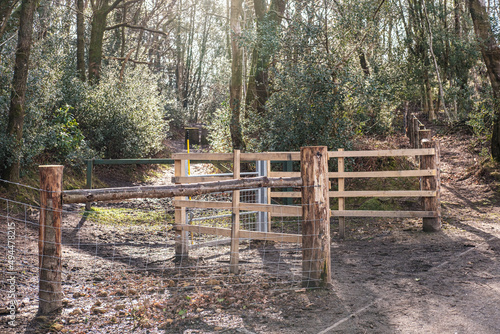 New fence and gate n Hindhead common