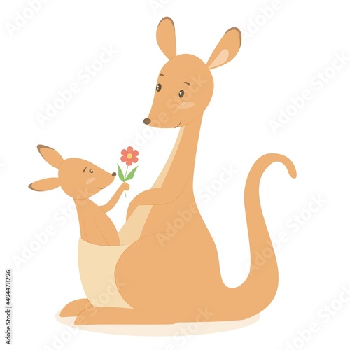 Mãe e bebê canguru, fundo branco. Ilustração vetorial.