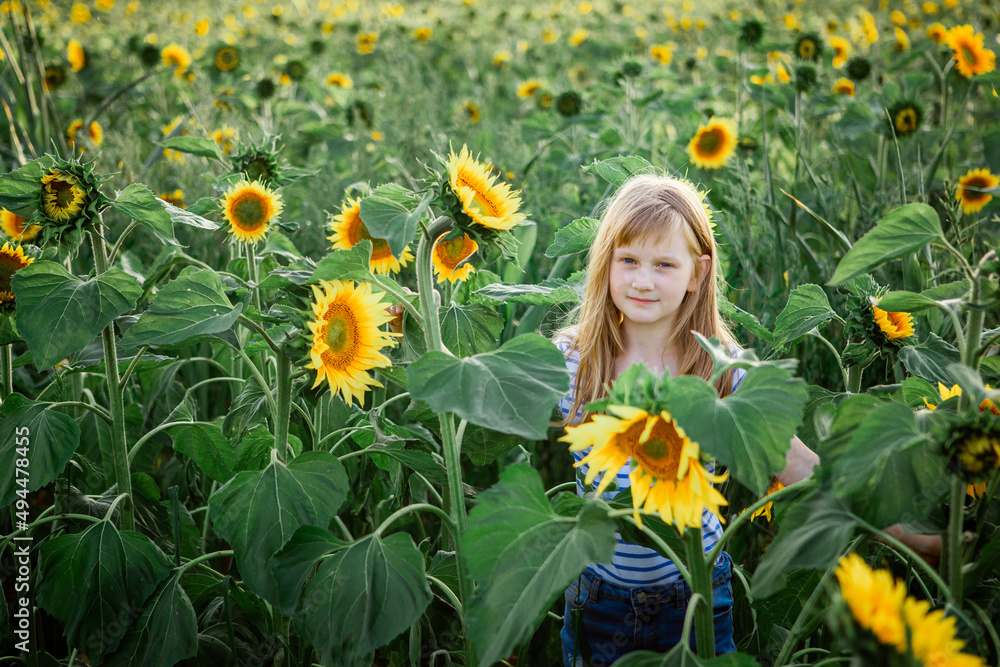 Girl in sunflowers outdoors. Holidays. summer sun Girl in sunflowers outdoors. Holidays. summer sun