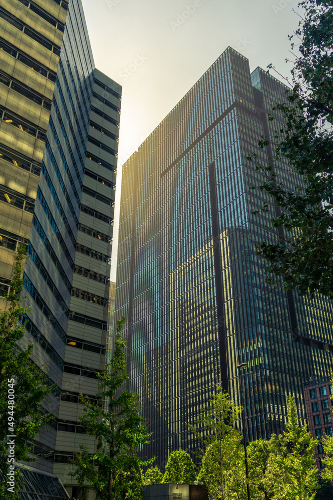The afternoon light shines between two skyscrapers in downtown Tokyo