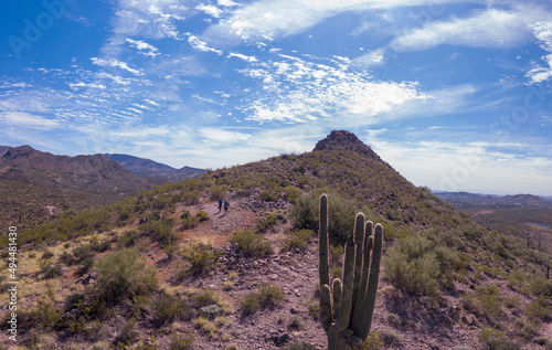 Scenery of the Tonto National Forest in Arizona, the USA photo