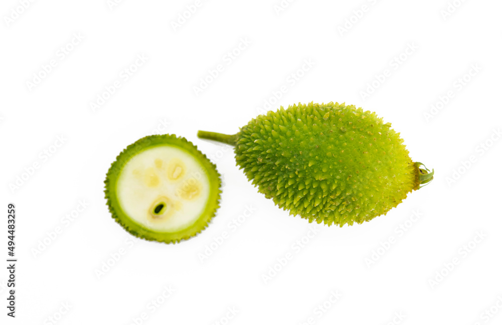 fresh spiny gourd isolated on white background, close-up, fresh spiny gourd isolated on white background, close-up,