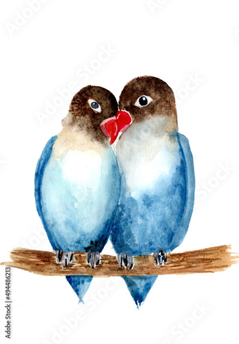 Hand drawn watercolor illusrtation of a couple of blue and brown birds sitting on the branch. Isolated on a white background