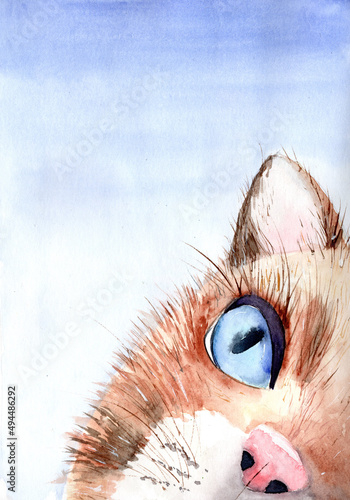Watercolor illustration of a blue eyed red cat's head on a blue background