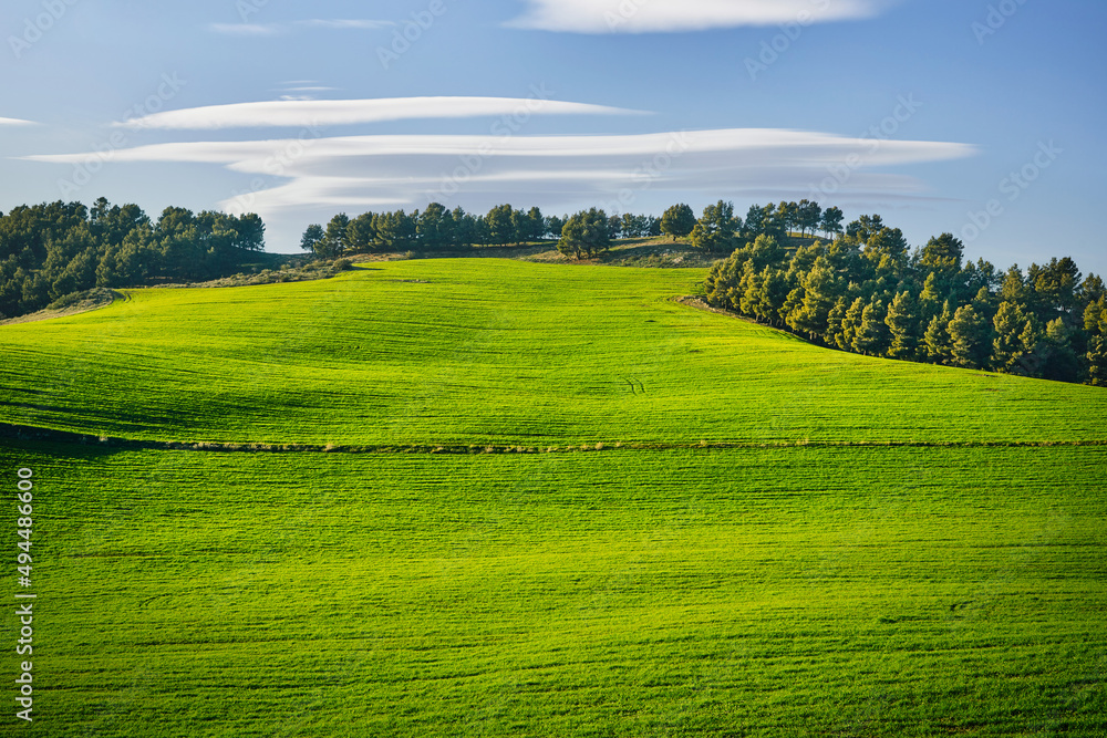green field with lenticular clouds.
