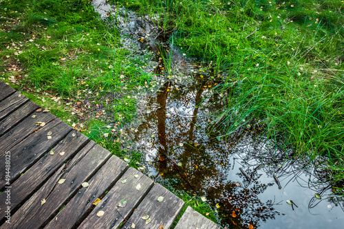 Bohlensteg durch den Karpaten-Birkenwald  im Roten Moor in der Hessischen Rhön