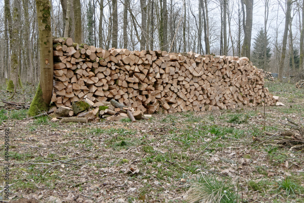 Belle meule de bois en forêt - France