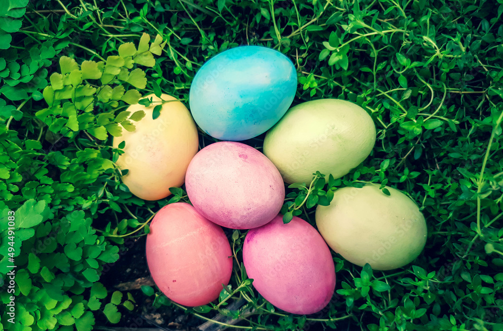 closed up on colorful easter eggs over green garden closed up on colorful easter eggs over green garden