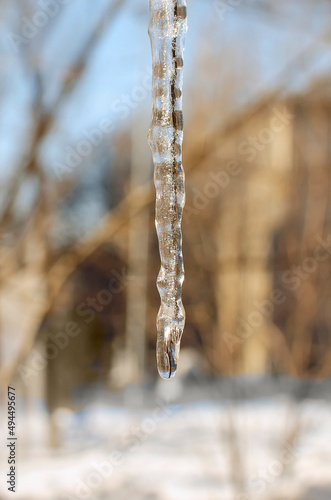 Melting icicle in spring, close-up. Vertical photography.