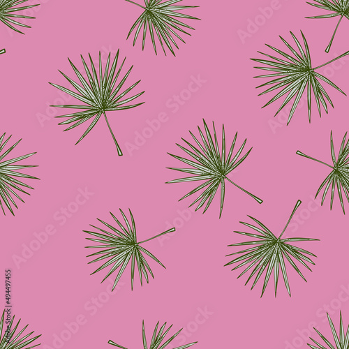 Fan palm leaves seamless pattern.Vintage tropical branch in engraving style.