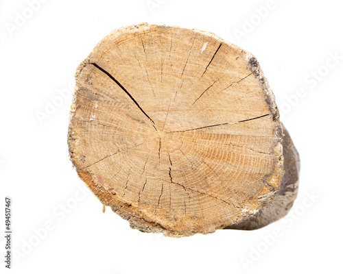 cut birch branch on a white background isolated