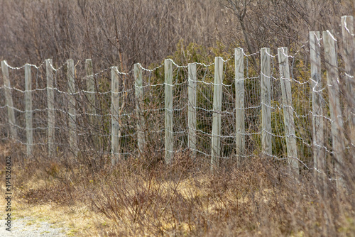 Wildlife fence in nature preventing animals to cross