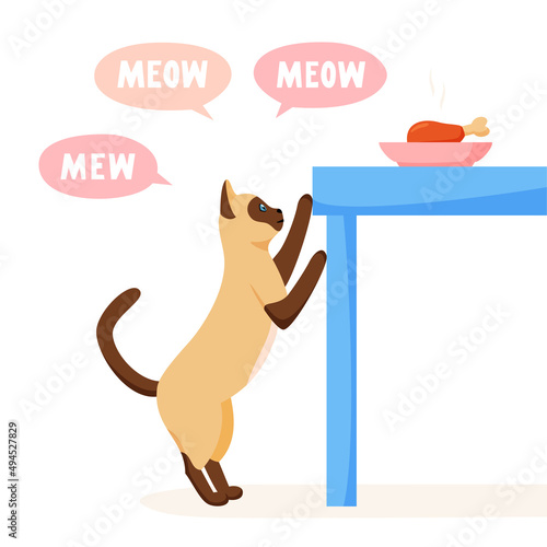 Cat begs for food from table and meows a lot. Pet asks for food. Cat steals from dinner table. Flat style vector 