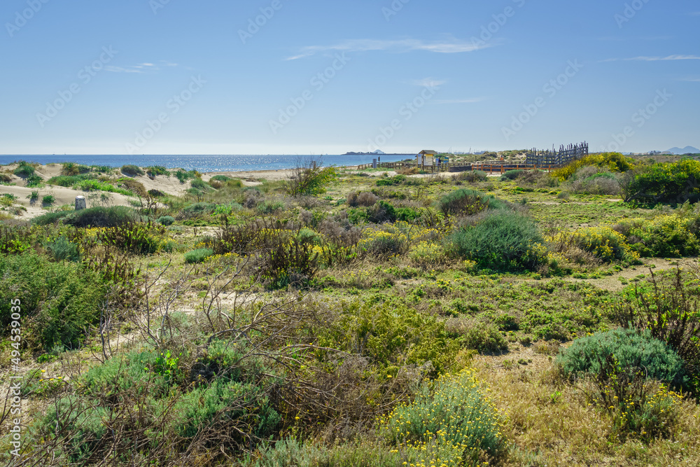 Regional Park of the salt flats and sandbanks of the Mar Menor. Murcia. Spain