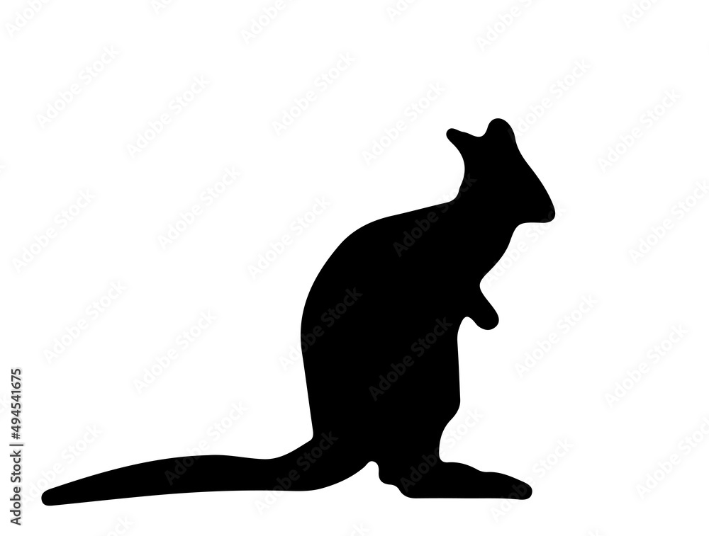 Kangaroo (Wallaby Wallaroo) silhouette on white Kangaroo (Wallaby Wallaroo) silhouette on white