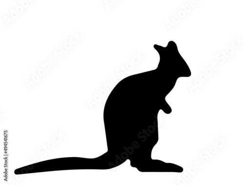Kangaroo (Wallaby Wallaroo)  silhouette on white