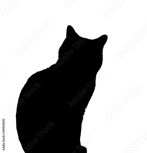 sitting cat, silhouette on white