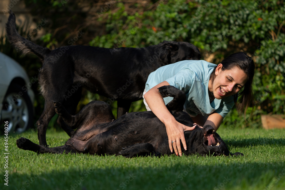 Wife Cuddling a teddy bear Labrador. Positive emotions showing the attachment between wife and pet love and trust and absolute endearment and enjoyment of the attention given Wife Cuddling a teddy bear Labrador. Positive emotions showing the attachment between wife and pet love and trust and absolute endearment and enjoyment of the attention given