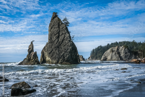 Realto beach, Washington coast, ocean, sea, olympic national park, rock edifice, tree. photo