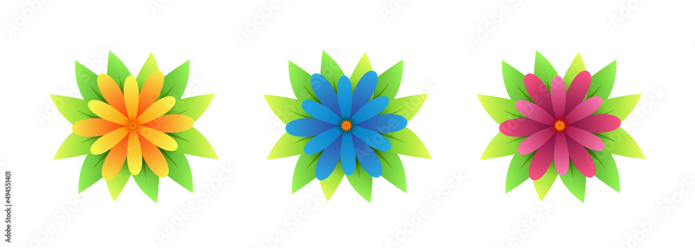 Flowers set. Flowers icons. Vector clipart isolated on transparent background.