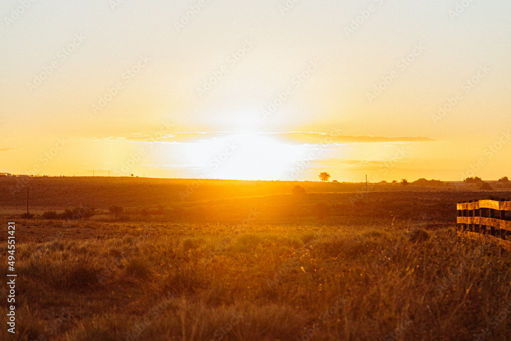 Fototapeta premium sunset over the field
