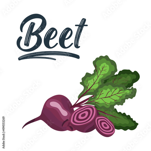Ripe red beets with green leaves. Card, banner, sticker, poster, print. Vector illustration.