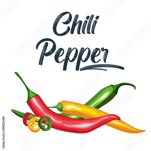 Mexican jalapeno hot chili pepper vector icon on white background. Colors hot chili peppers set.
