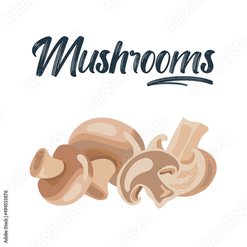 Cartoon champignon. Edible tasty ripe mushroom slices, delicious raw champignon mushrooms vector illustration set. Fresh champignon.Ripe vegetable mushroom to eating, vegetarian gourmet