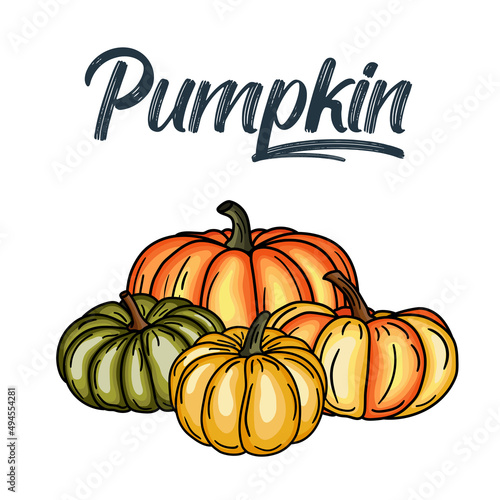 Pumpkin and fall leaves bouquet. Thanksgiving design template. Hello autumn illustration. Harvest festival. Hand drawn frame with fall leaves, pumpkin. Vector illustration