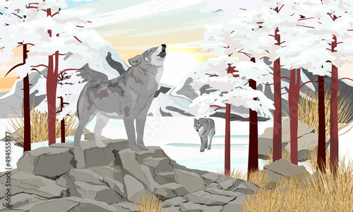 A gray wolf howls standing in a mountain valley. Winter realistic vector landscape