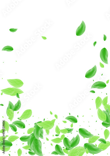 Green Foliage Background White Vector. Vegetation Realistic Illustration. Garden Texture. Greenish Nature Card. Leaf Drink.