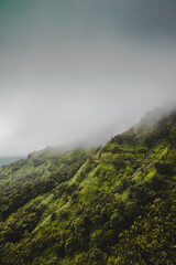 Wandcirkels Olijfgroen Mistige beboste heuvels onder wolken  © Sahad Abrar/Wirestock Creators