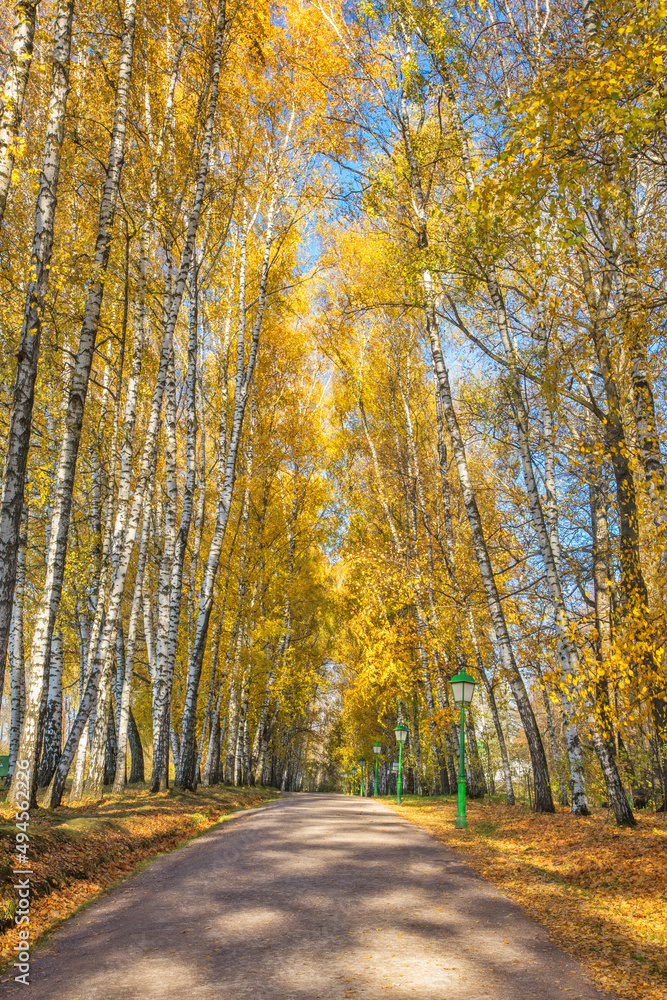 Fototapeta premium View of alley at Yasnaya Polyana (Bright Glade). Tula oblast. Russia