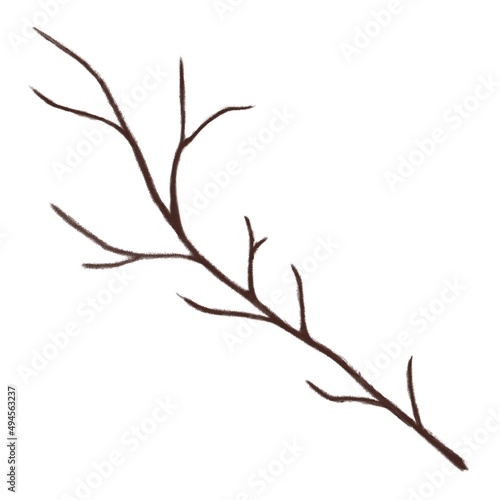 Branches watercolor design, draw a picture on the white background.