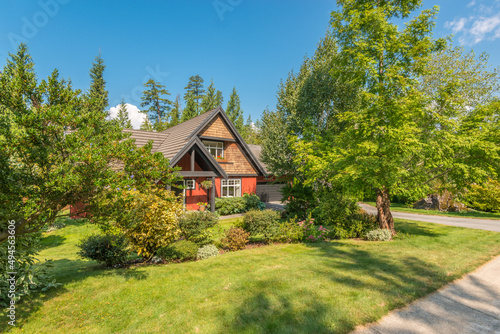 luxury house with garage door  big tree and nice spring blossom