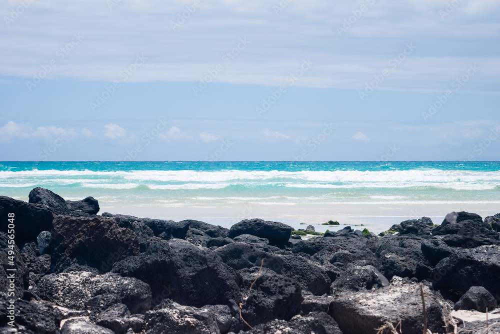 Tortuga Bay beach in Galapagos Islands Tortuga Bay beach in Galapagos Islands