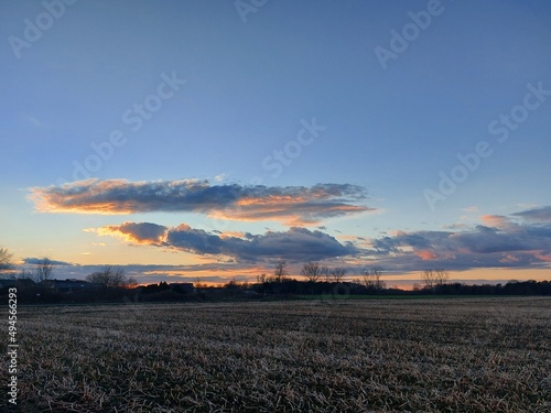 Herrlicher Sonnenuntergang. Die Natur versinkt in Dunkelheit. In der Ferne sieht man Silhouetten von verzweigten Laubb  umen ohne Bl  tter. Das Tageslicht verblasst am Horizont. Die Dunkelheit im Morgen