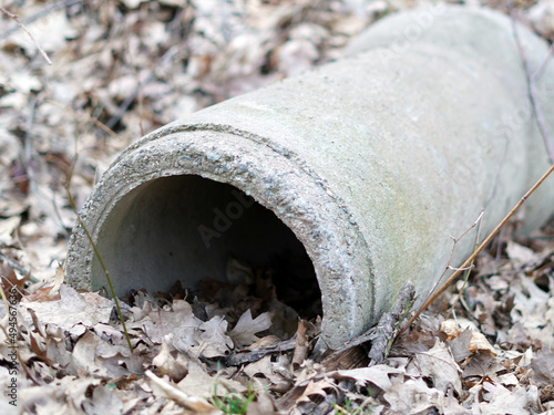 Gray concrete pipes lying in the leaves.