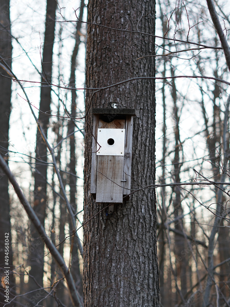 Birdhouse sowing on a tree trunk.