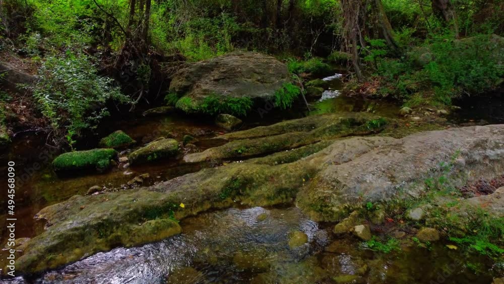 aerial low flight drone over gentle river in the forest, Sant Miquel del Fai, Catalonia, Spain aerial low flight drone over gentle river in the forest, Sant Miquel del Fai, Catalonia, Spain