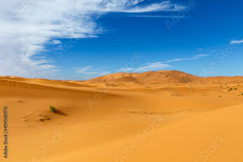 Erg Chebbi. Sand dunes  beautiful landscape in Sahara Desert Morocco