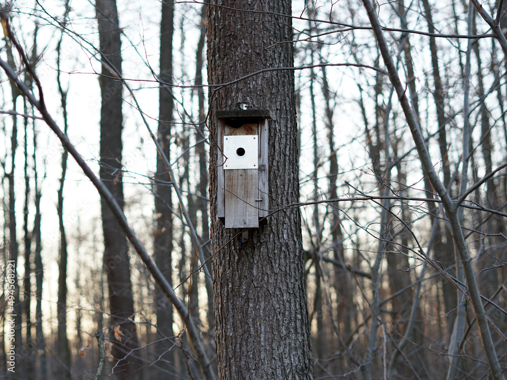 Fototapeta premium Wooden birdhouse hanging on a tree.