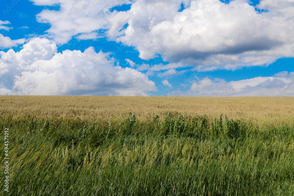 farm field crop dry harvest season great plains farming countryside farm field crop dry harvest season great plains farming countryside