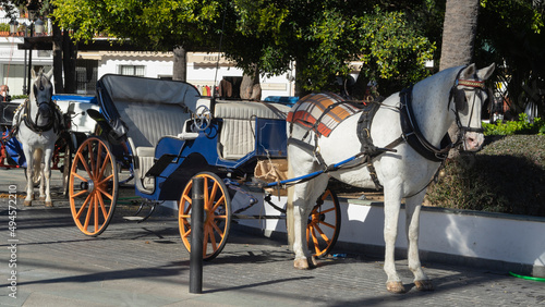 Foto typical horse carriage in mijas, málaga