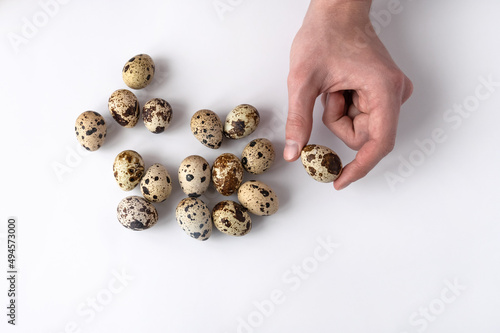 man's hand holds a quail egg on a white background. Top view of group of eggs. The concept of healthy breakfast. Home cooking