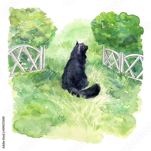 Watercolor illustration with a cat on a green lawn. A black cat sits on the grass and watches a butterfly. Summer landscape depicting a garden with a white fence in which a cat walks.