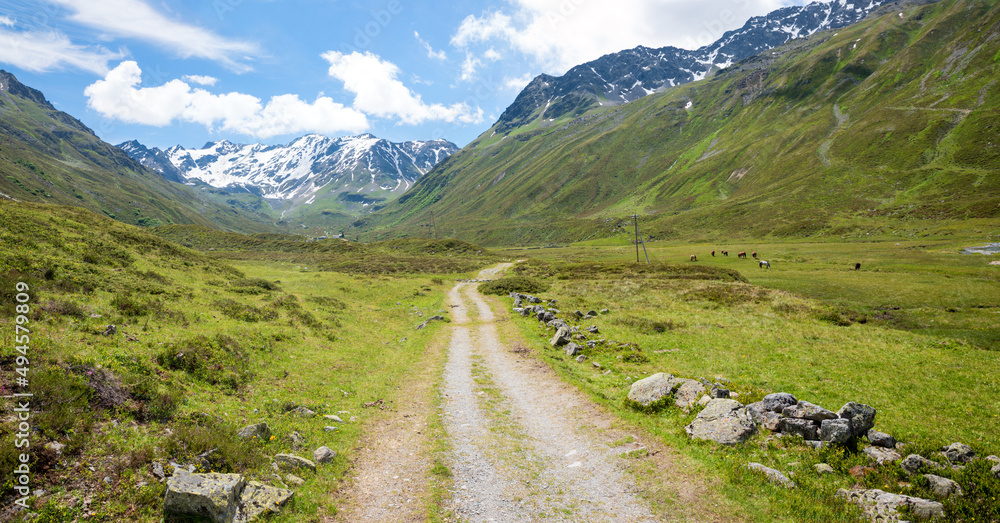 Fototapeta premium hiking trail to Dürrboden, view to scaletta glacier, breathtaking Dischma valley, grisons switzerland