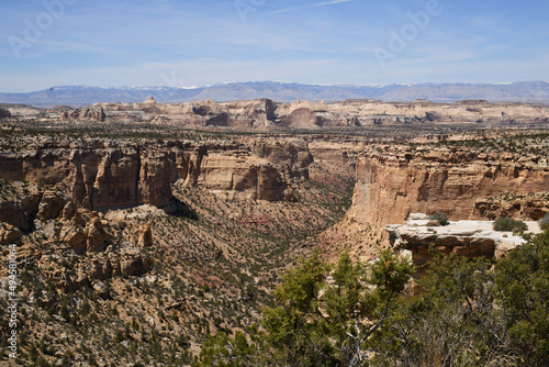 Canyon Near Las Vegas